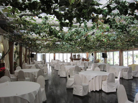 ぶどうの樹結婚式場